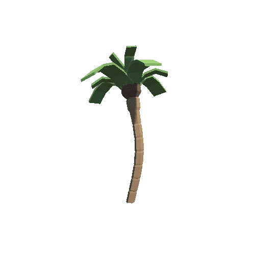 Palm Tree 05